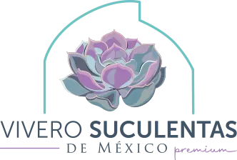 Suculentas de México